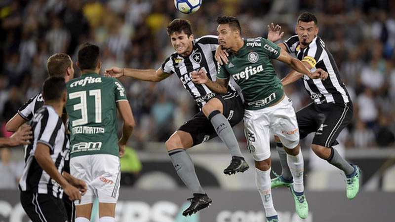 Soi kèo Botafogo (RJ) vs Palmeiras