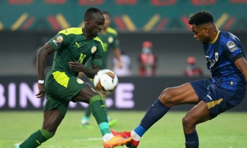 Link xem trực tiếp Senegal vs Guinea 2h00 ngày 31/1 Cúp châu Phi 