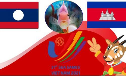Cá vàng tiên tri dự đoán U23 Lào vs U23 Campuchia 16h00 ngày 9/5